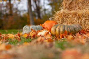 joseph-gonzalez-E-EEQSjDdck-unsplash-1-scaled-2-1024×683